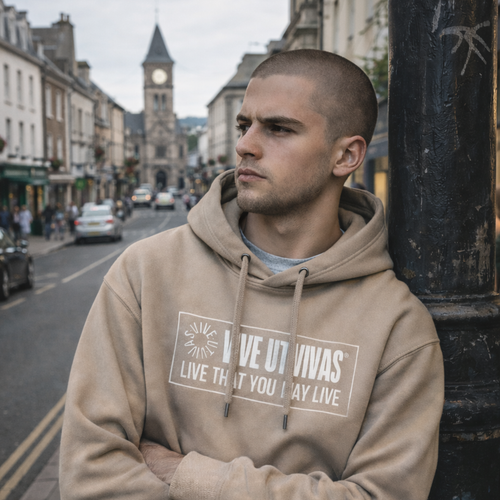 Box Logo Hoodie - Desert